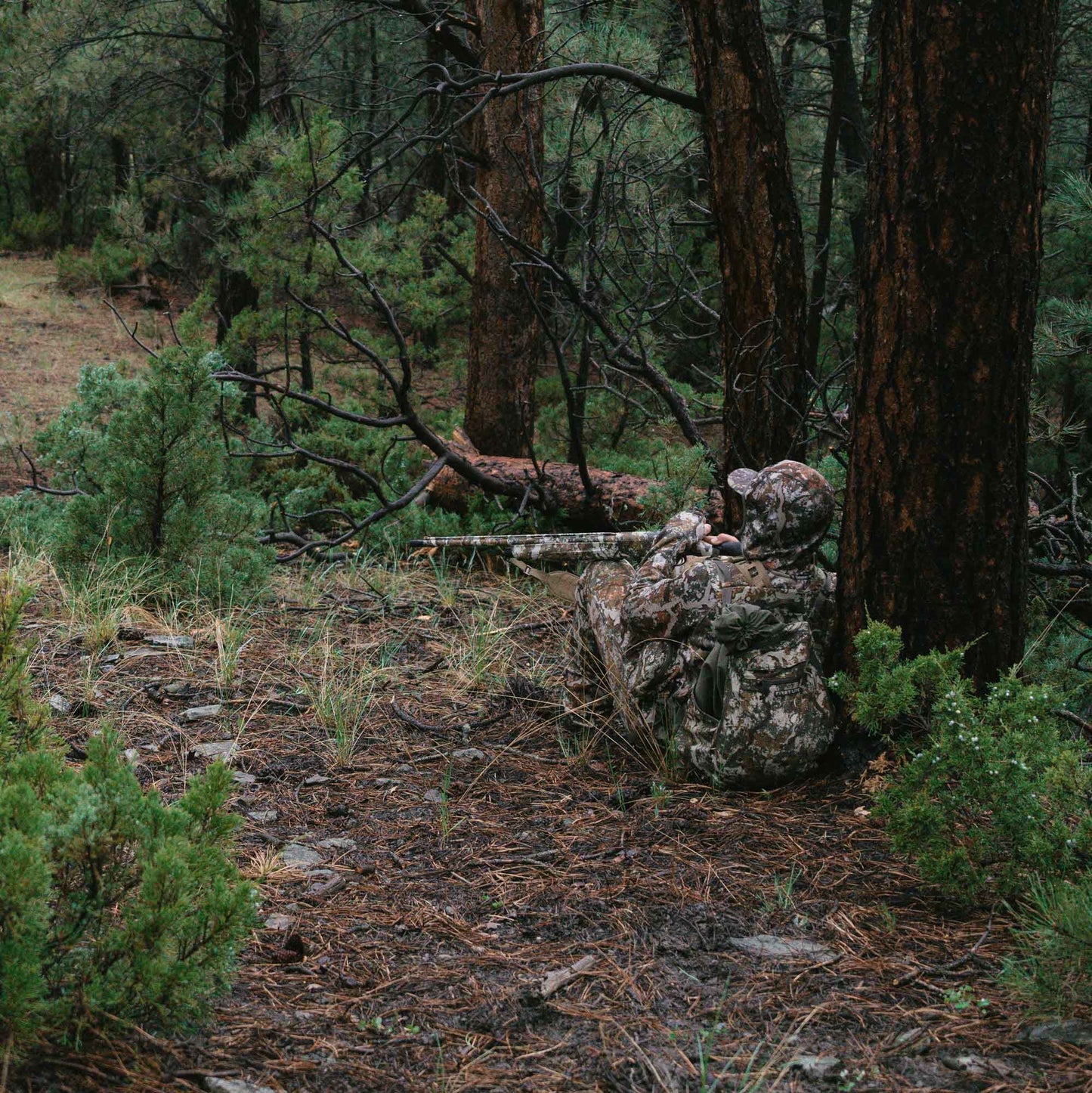 First Lite Treeline Turkey Vest