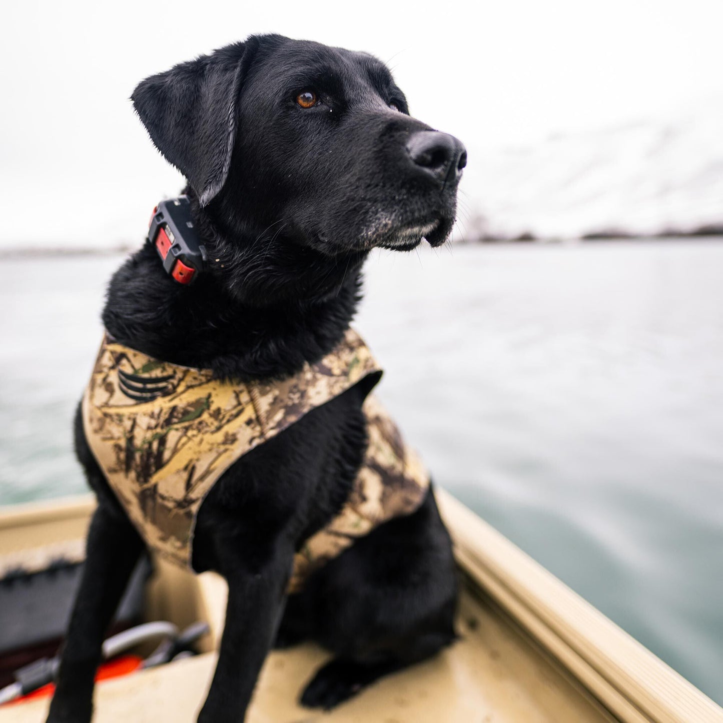 First Lite Tanglefree Dog Vest