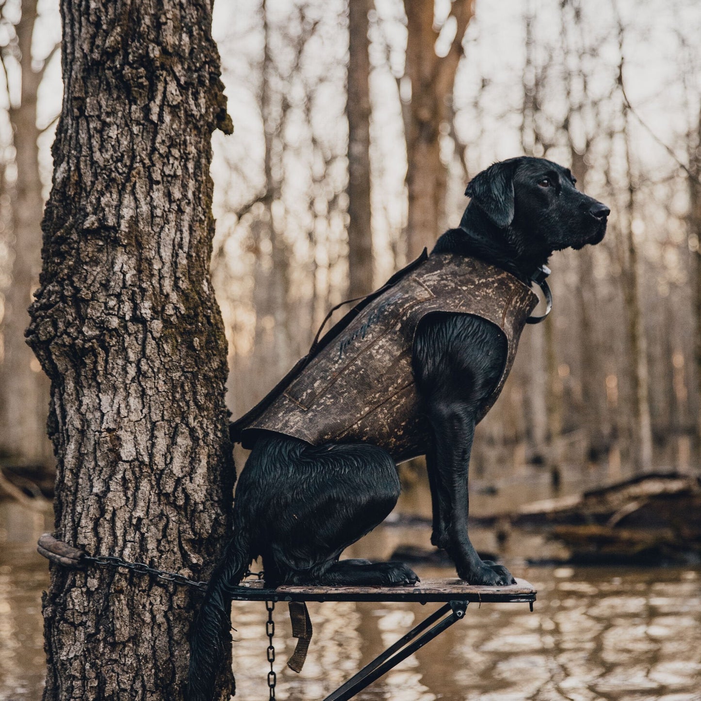 First Lite Tanglefree Dog Vest