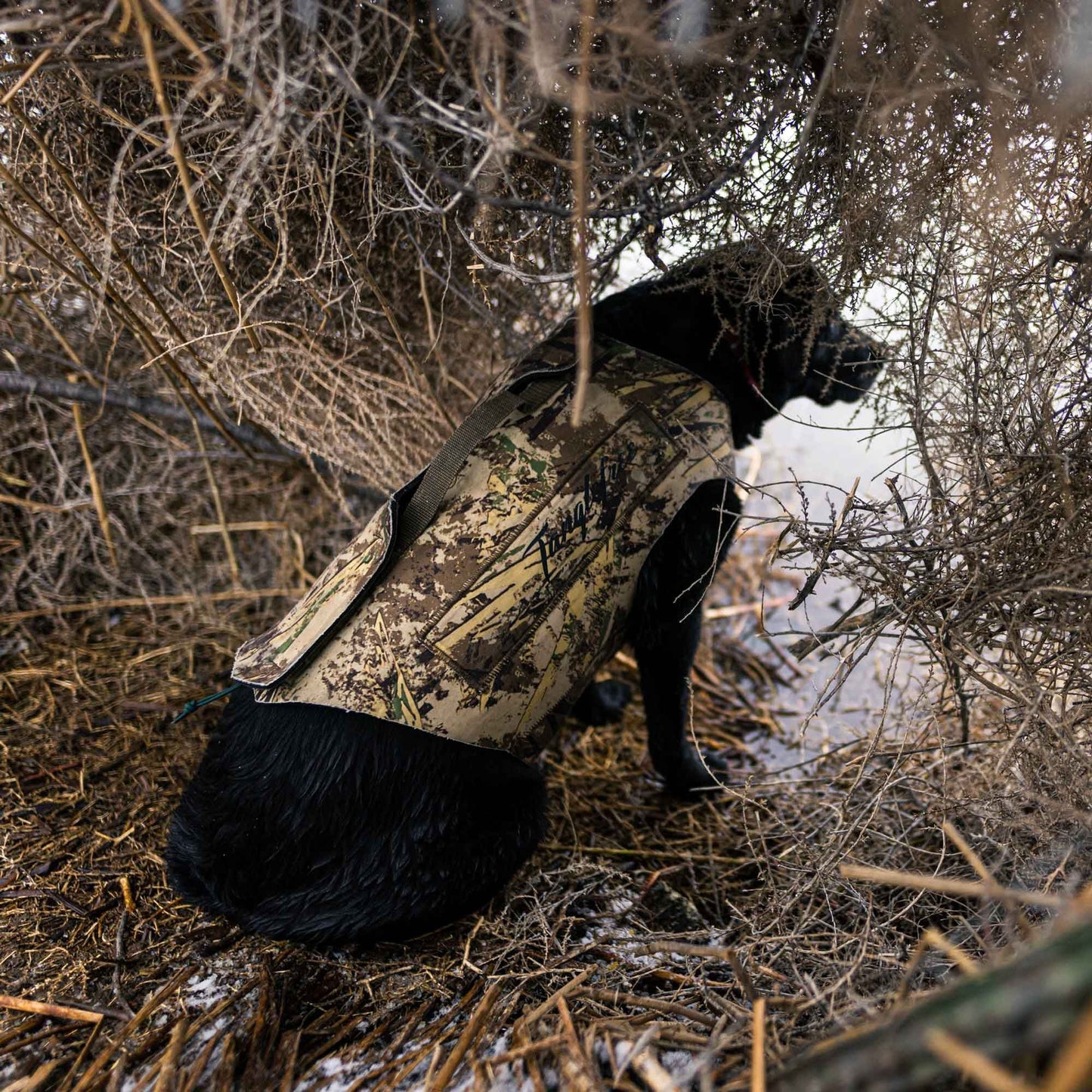 First Lite Tanglefree Dog Vest