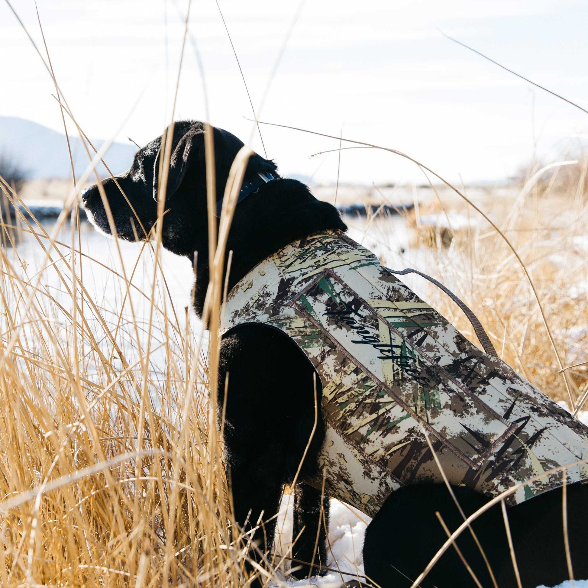 First Lite Tanglefree Dog Vest