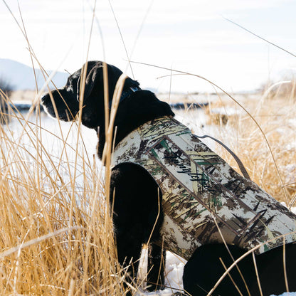 First Lite Tanglefree Dog Vest