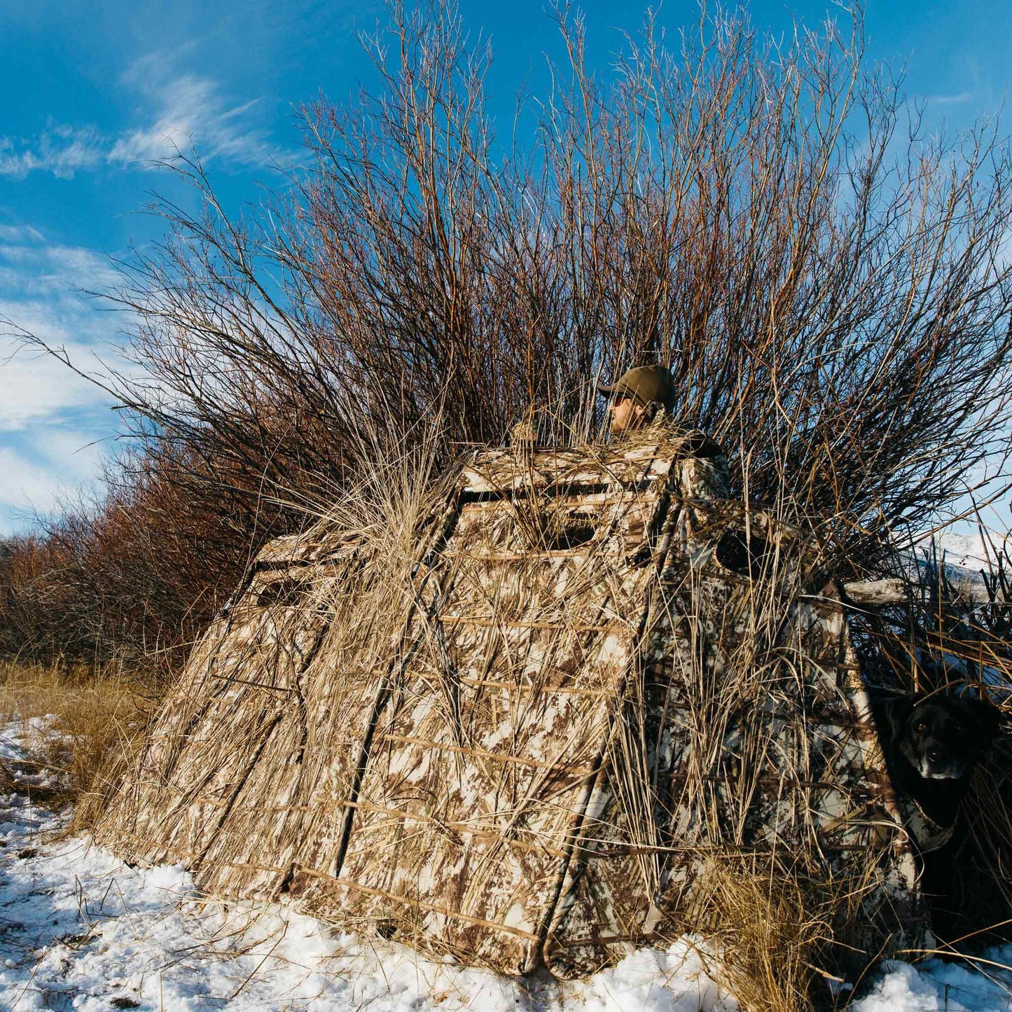 First Lite Tanglefree Panel Blind™