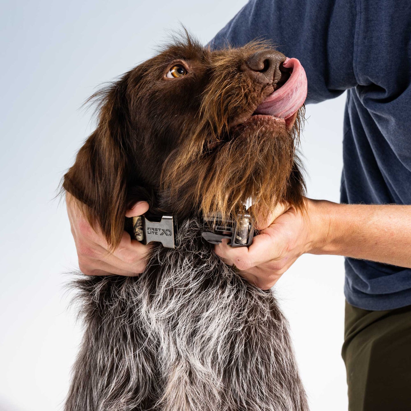 First Lite First Lite Dog Collar