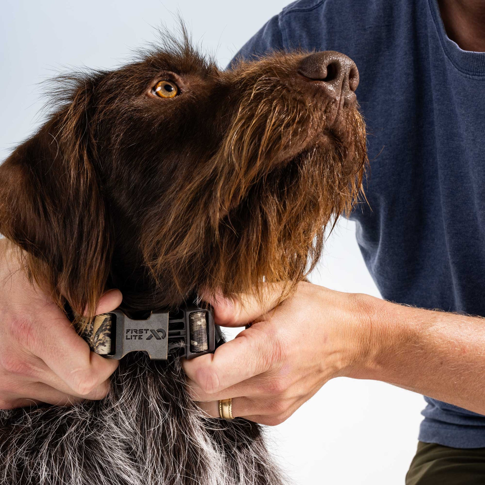 First Lite First Lite Dog Collar